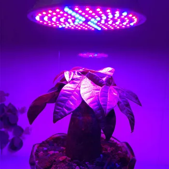 126 led Taim Kasvada valguse lamp E27 SMD 3528 led pirn kasvab taimede Kasvu Hüdropooniline süsteem Roheline Maja Aed Lill Valgus