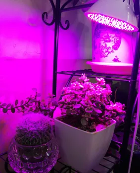 126 led Taim Kasvada valguse lamp E27 SMD 3528 led pirn kasvab taimede Kasvu Hüdropooniline süsteem Roheline Maja Aed Lill Valgus
