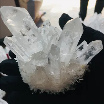 600 g looduslik kristall ilus leek halo quartz crystal klastri näidis