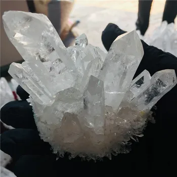 600 g looduslik kristall ilus leek halo quartz crystal klastri näidis