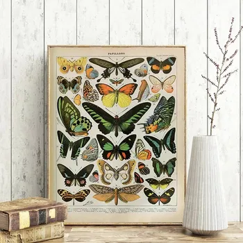 Vintage Adolphe Millot Entsüklopeedia Lõuend Värvimine Butterfly Lilled, Putukad, Plakatid ja Pildid Seina Art Pilte Home Decor