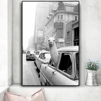 Lõuend Maalid Naljakas Alpaca Laama New York City Takso Loomade Plakatid ja Pildid Seina Art Pilt elutuba Home Decor
